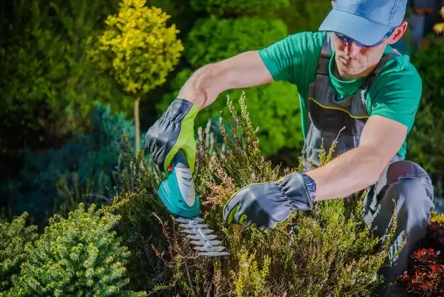 landscaping services Niagara Falls